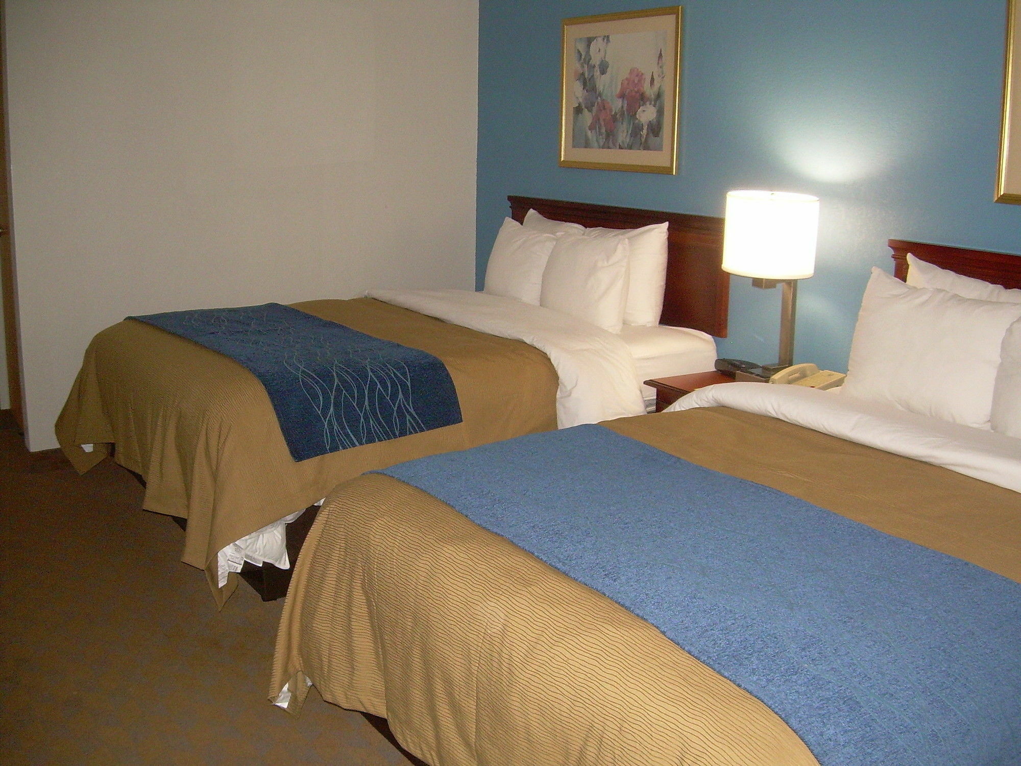 Comfort Inn & Suites Lees Summit - Kansas City Lee's Summit Zewnętrze zdjęcie